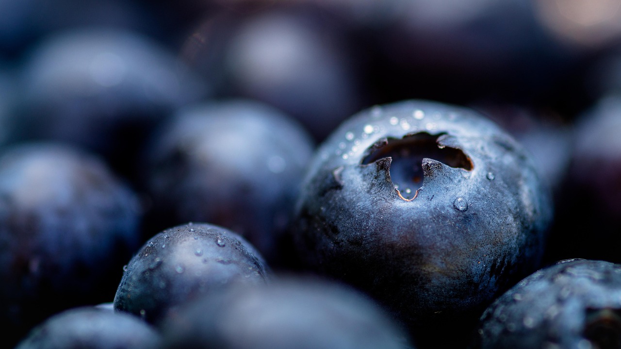 blueberries, free background, 4k wallpaper, 4k wallpaper 1920x1080, berries, hd wallpaper, laptop wallpaper, windows wallpaper, healthy, fruits, beautiful wallpaper, wallpaper hd, food, organic, cool backgrounds, mac wallpaper, fresh, desktop backgrounds, wallpaper 4k, background, macro, full hd wallpaper, free wallpaper, dewdrops